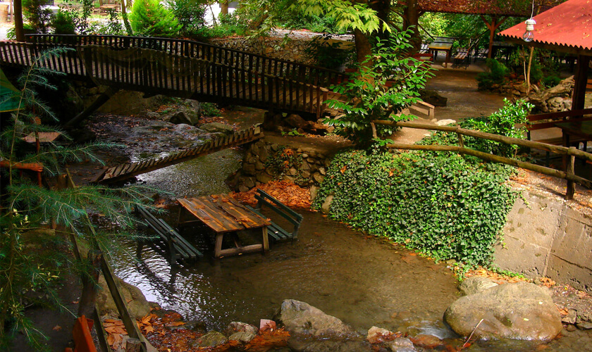 Maşukiye Kirazlı Yaylası